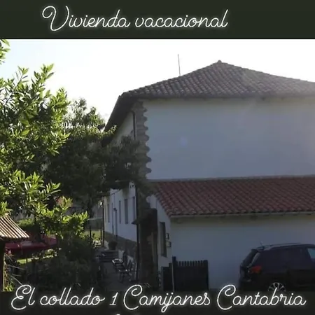Apartment Anca Manue Camijanes