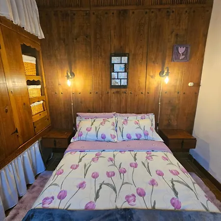 Apartment Anca Manue